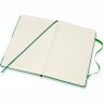 Блокнот MOLESKINE LIMITED EDITION BOB DYLON LARGE, линейка, зеленый LEBDQP060A