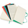 Ежедневник MOLESKINE CLASSIC SOFT POCKET (мятный) DSK4612DC2